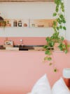 Trailing plant and kitchen items in half-coral guest room