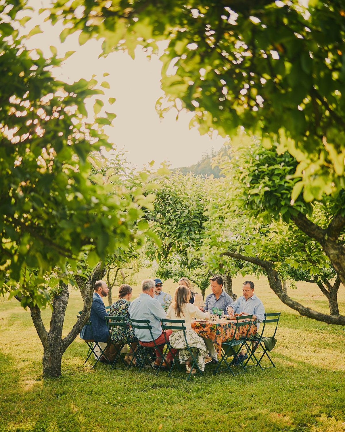 Guests dining at a table in a grove of trees