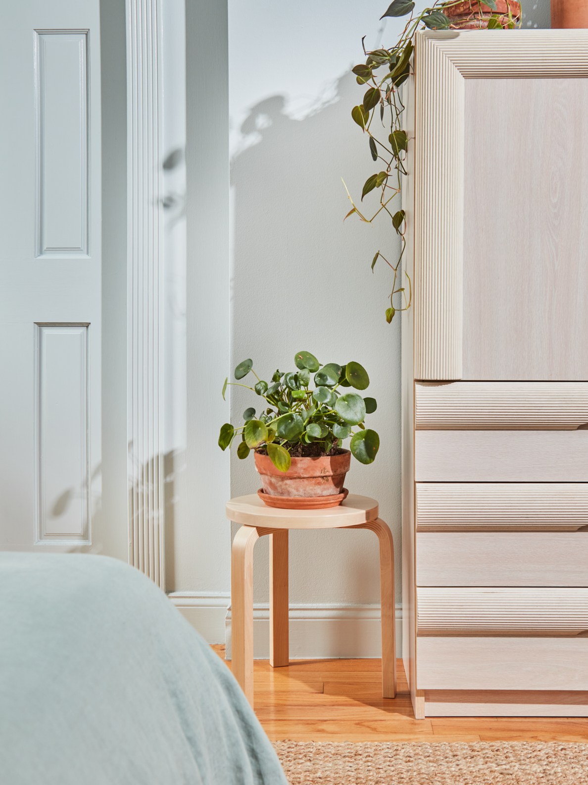 Small Spaces | domino