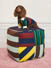 Dog standing on top of a striped poof