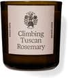 Flamingo Estate Climbing Tuscan Rosemary Scented Candle