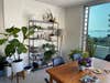 shelving with house plants