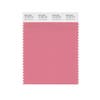 pink swatch