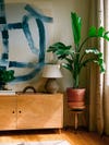 Dresser and large plant next to window