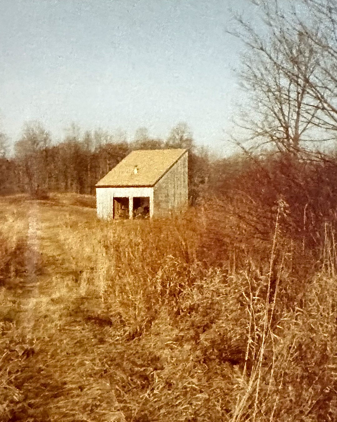 An archival photo of the cabin in Ghent. Courtesy Eliza Gran