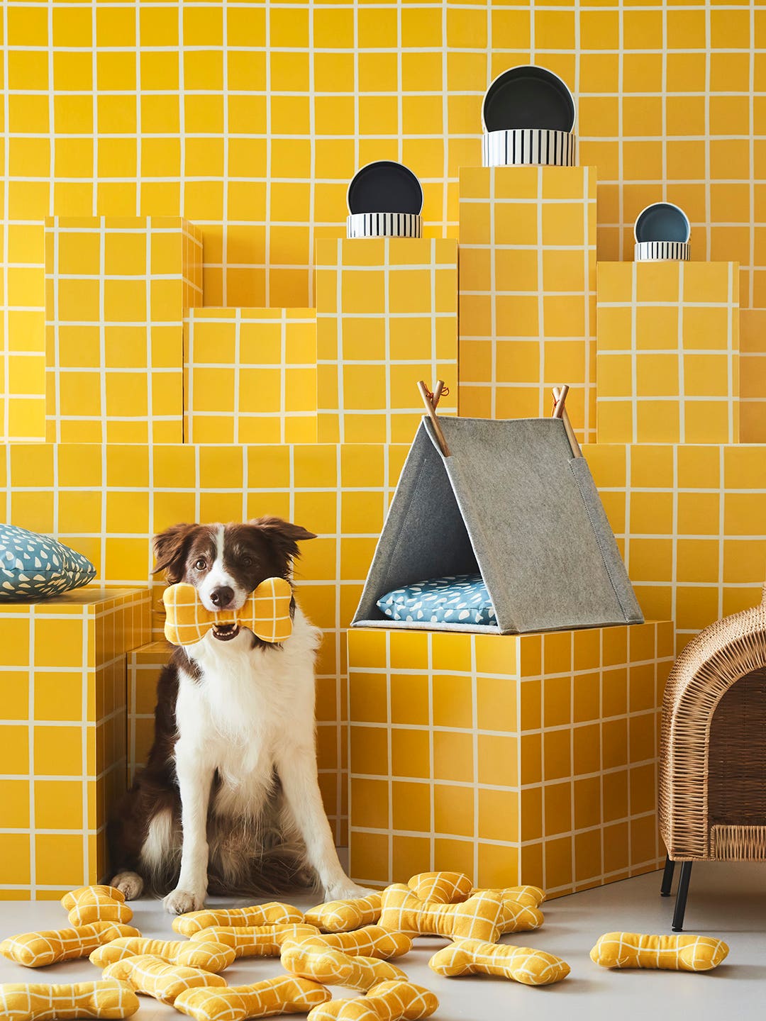 IKEA’s New Pet Collection Features a Cozy Upgrade for Your Kallax Shelving