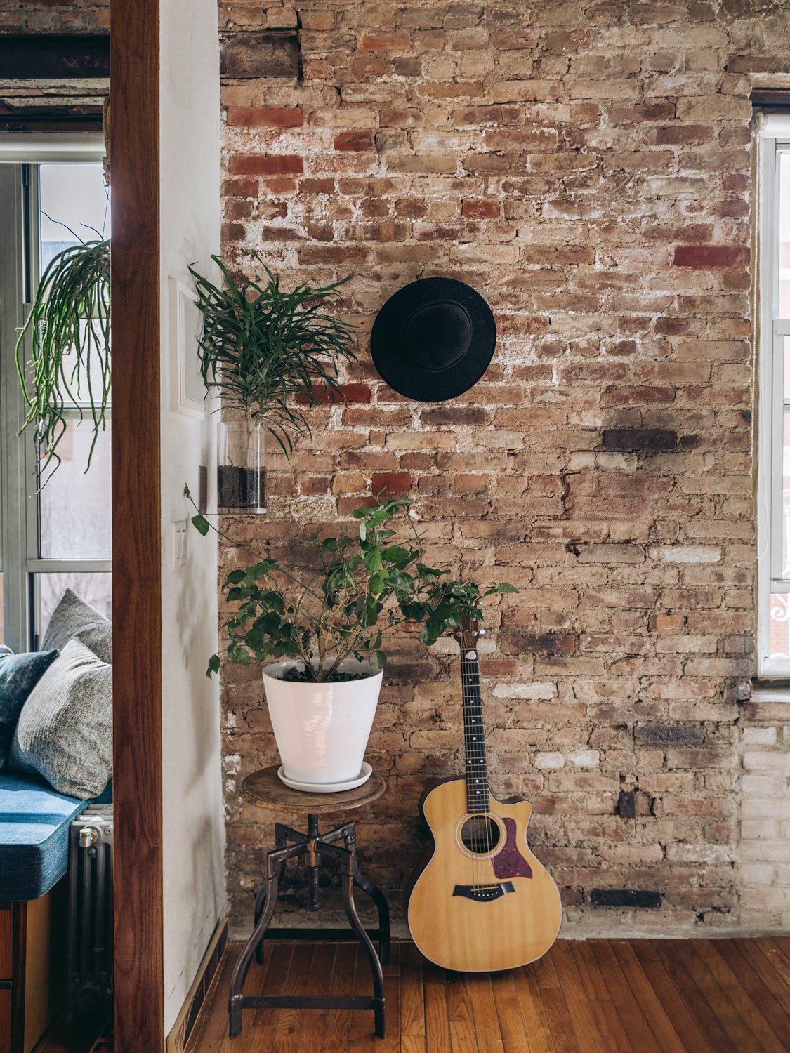 cozy corner with plant and guitar