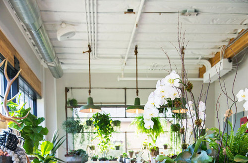 These Are the Prettiest Plant Shops In the World | domino