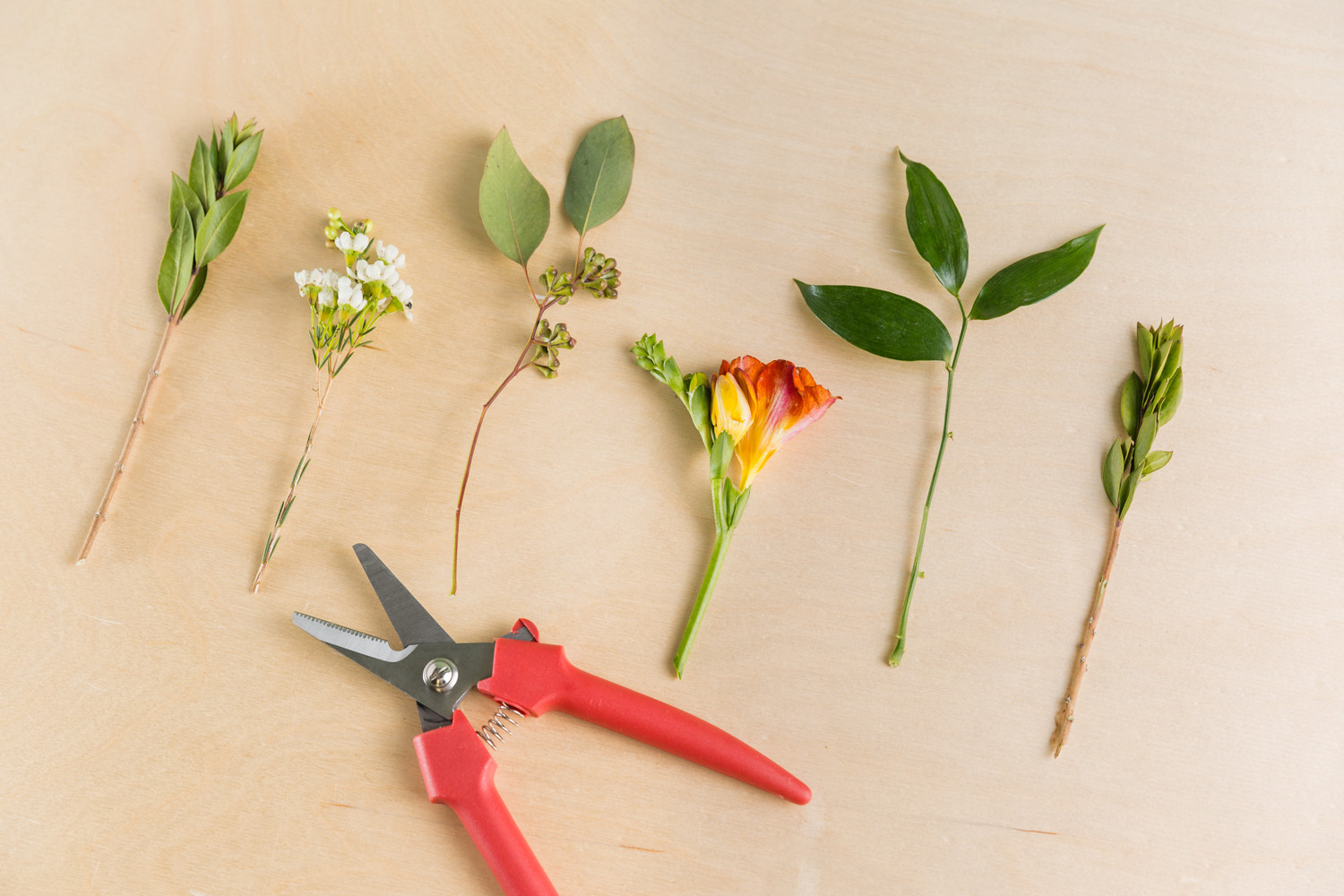 How To Make A Boutonniere For Wedding Or Prom DIY Guide