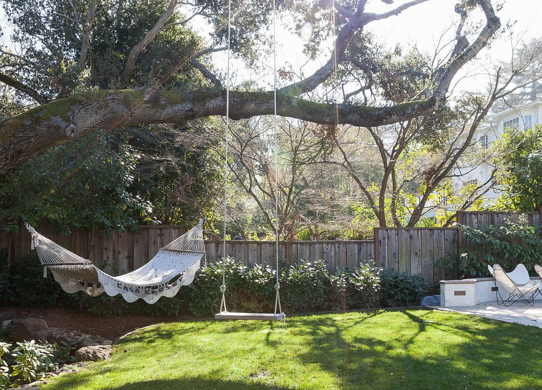 Brown and Green Garden