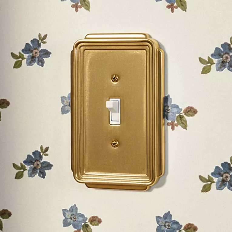 Art Decor style switch plate
