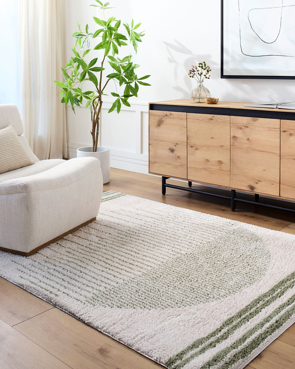 rugs direct rug
