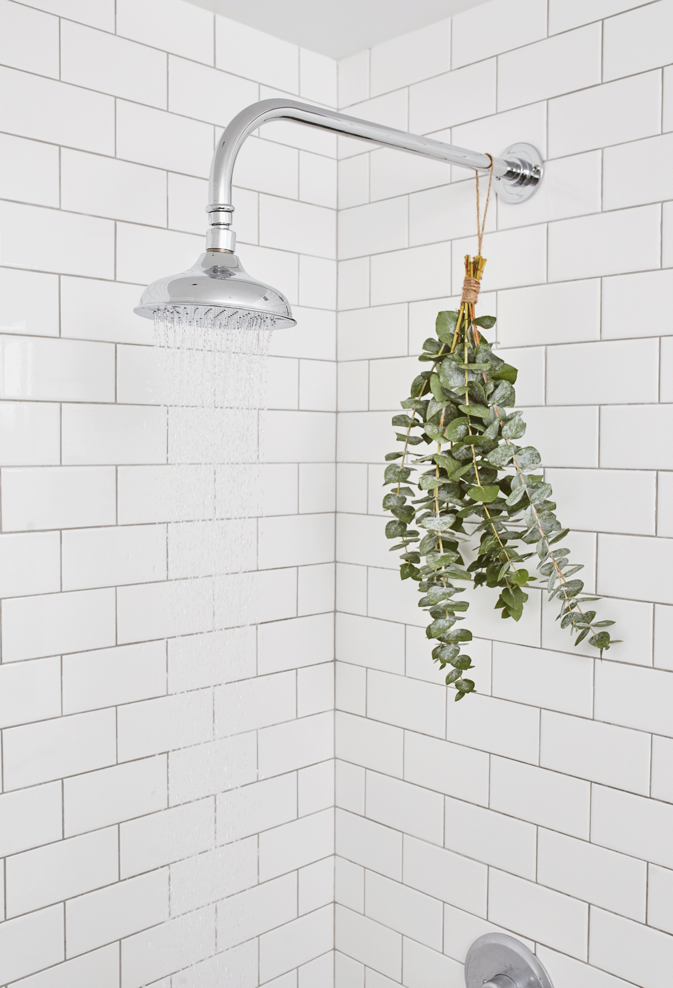 How to Put Eucalyptus In The Shower, image size:1319x1938
