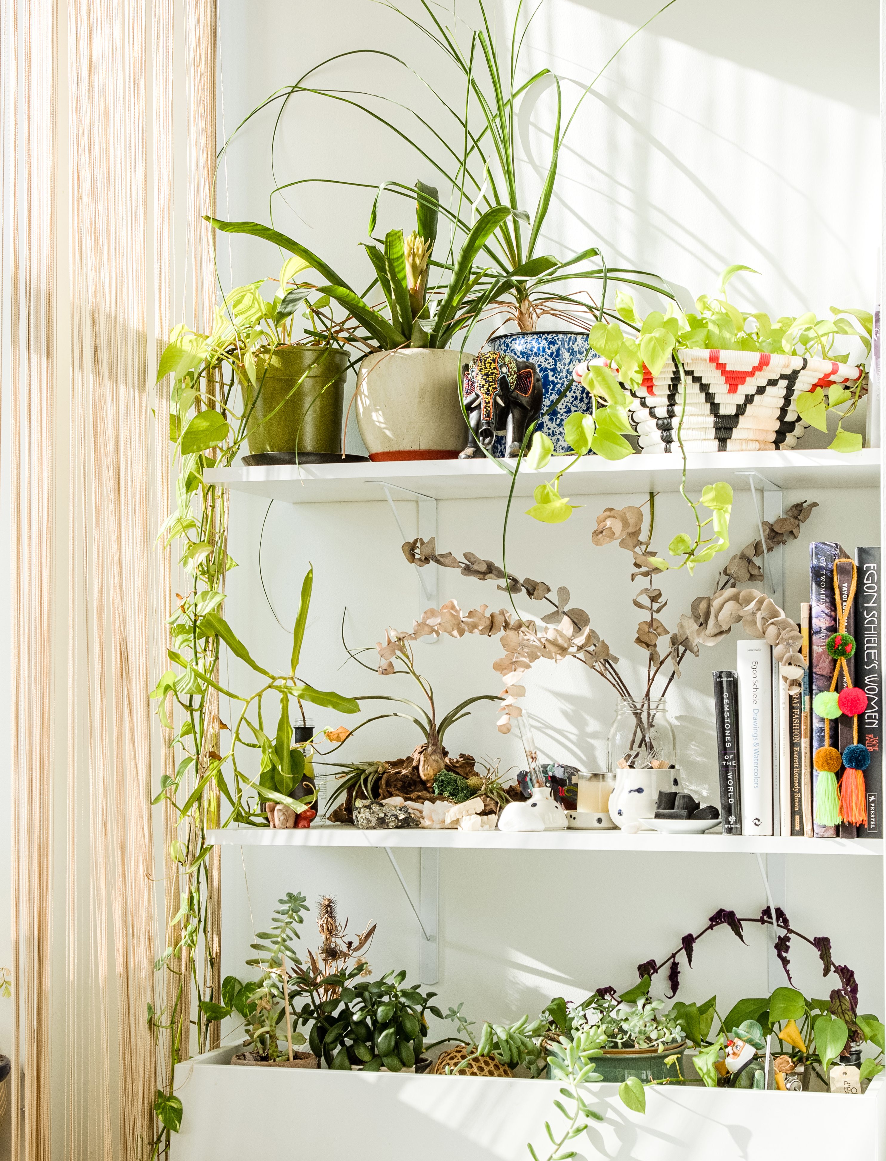 Everything You've Ever Wanted to Know About Plant Walls