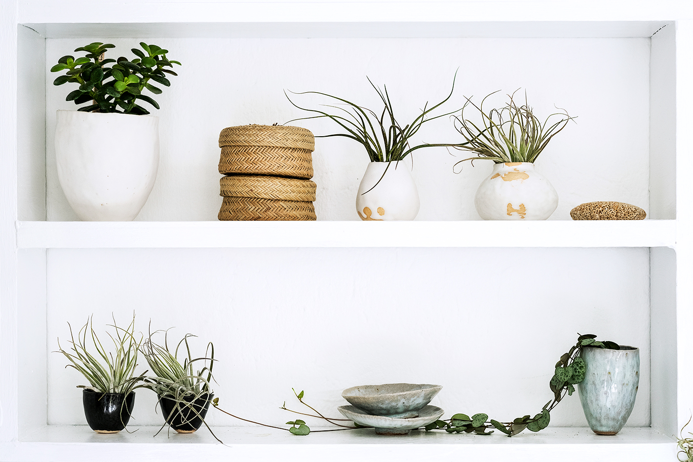 hooks for hanging plant pots Hangapot the Hidden Flower Pot Hanger, Vertical Gardens Made Easy with  this ingenious clay pot clip