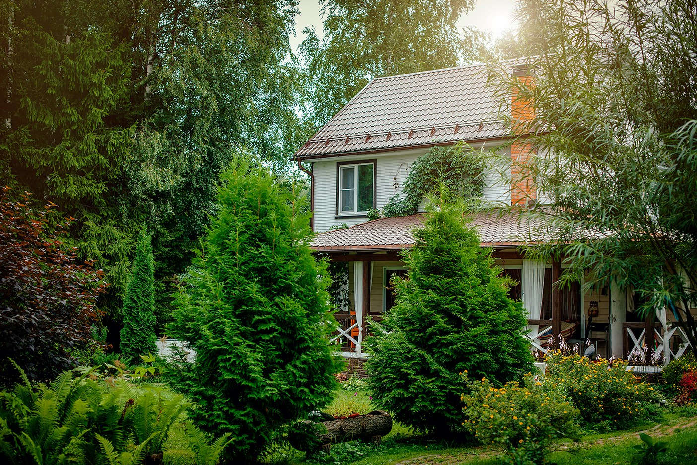 house with meadow yard