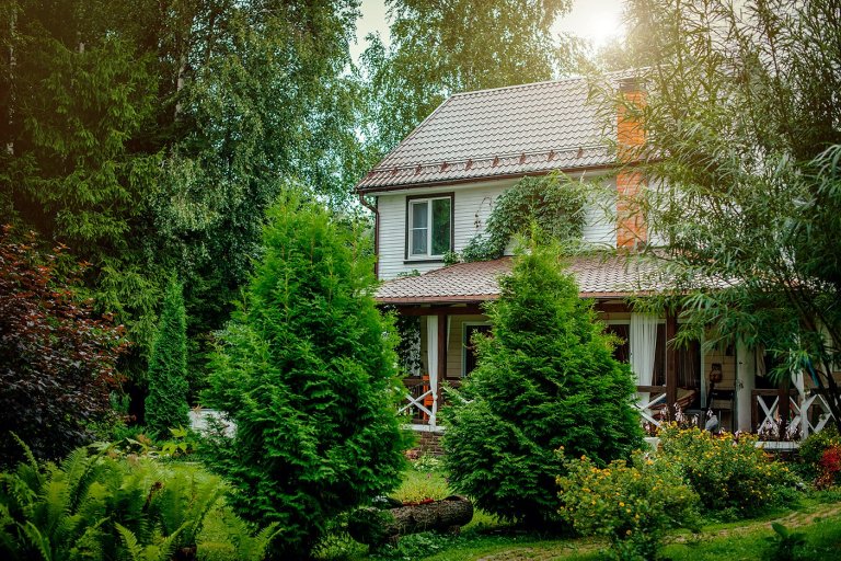 house with meadow yard