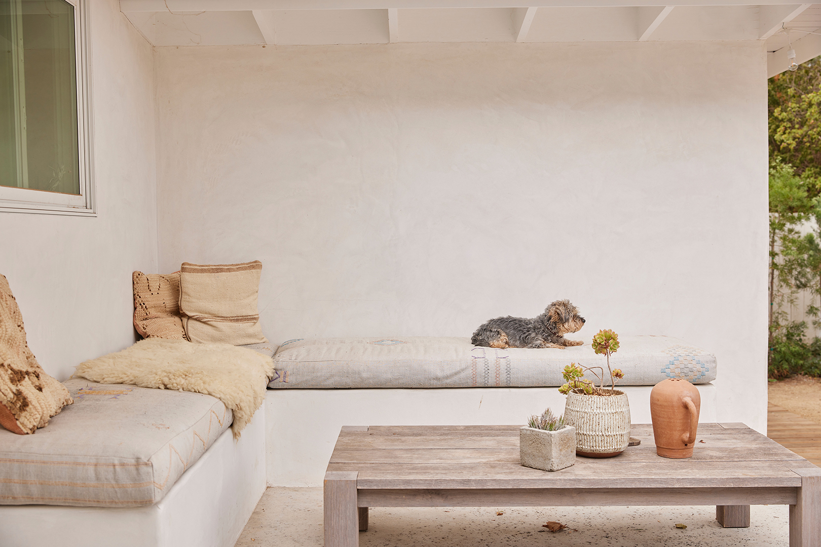 dog on built in outdoor bench