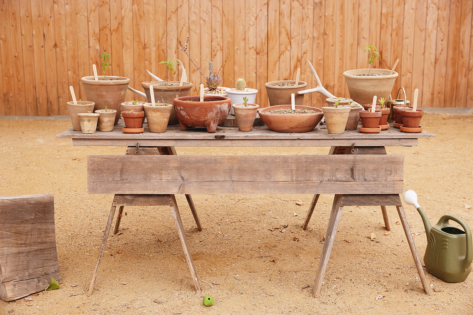 table topped with plants