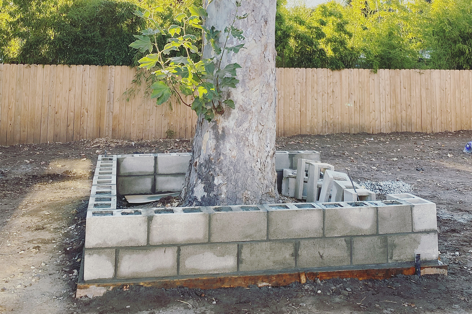 cinderblock going around tree