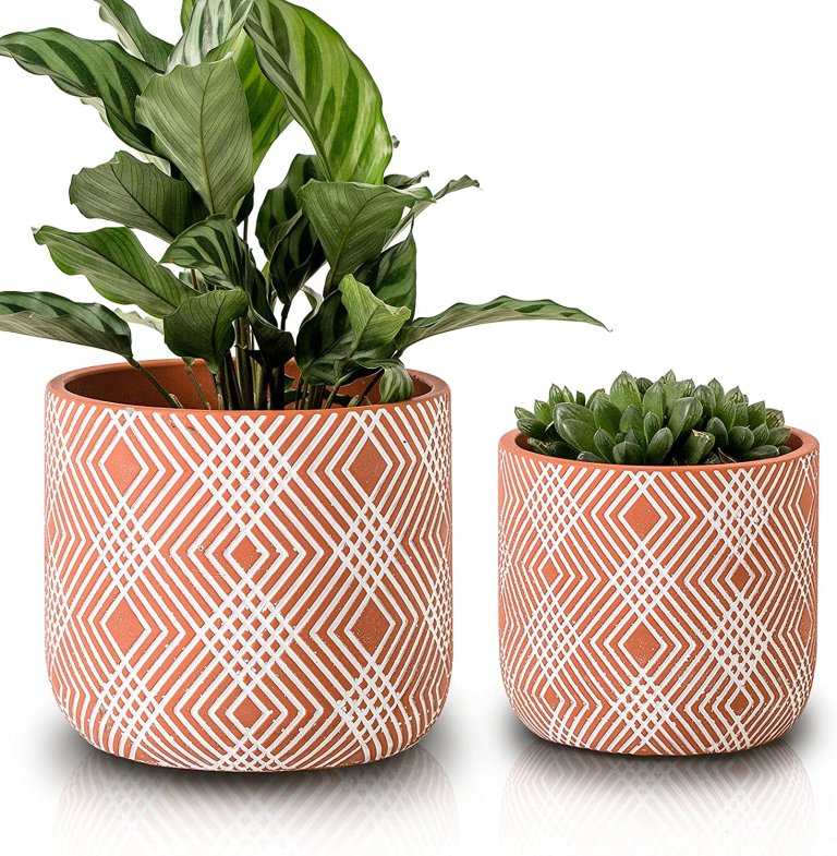  two pink plant pots