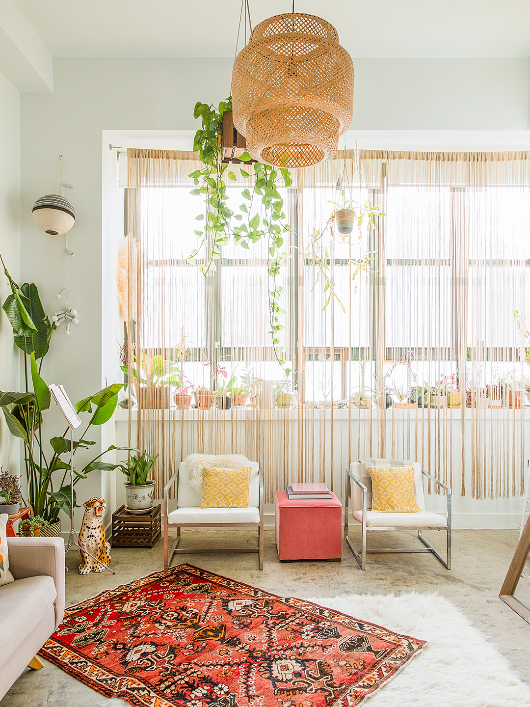 According to Pinterest, This Small-Space Plant Idea is Trending in Dorms  Right Now