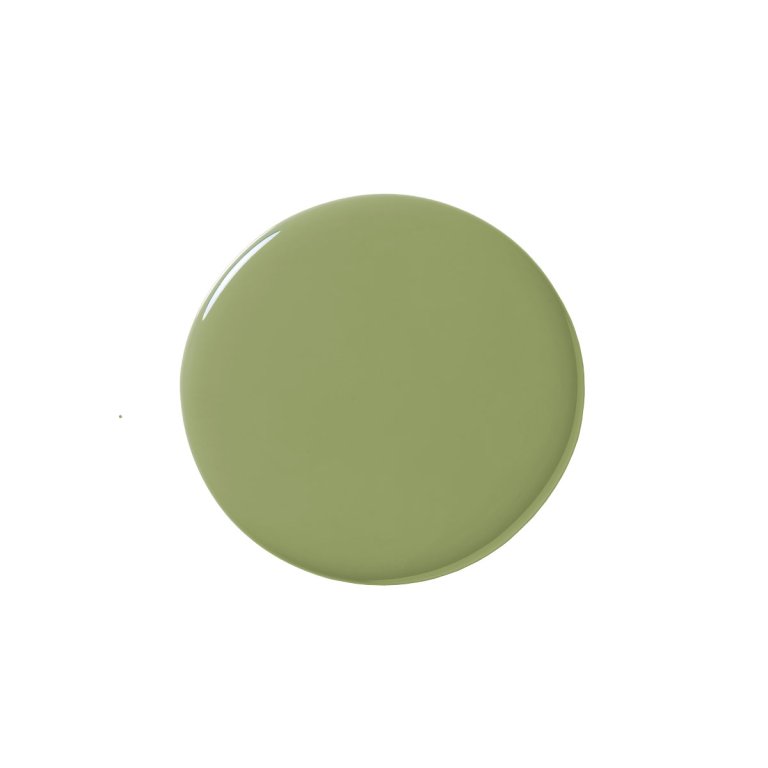  Olive green paint swatch