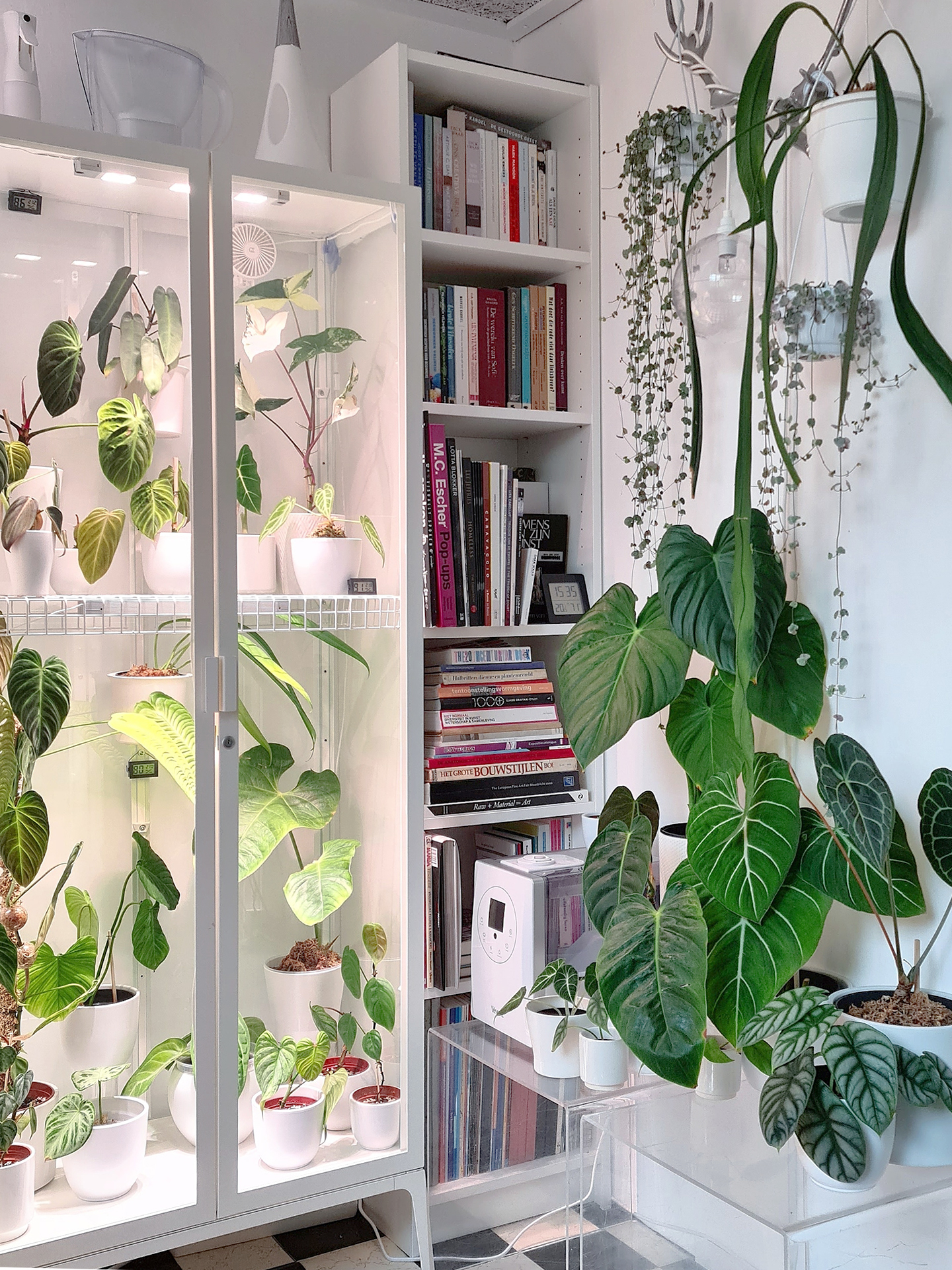 IKEA-Cabinet-Turned-Greenhouse