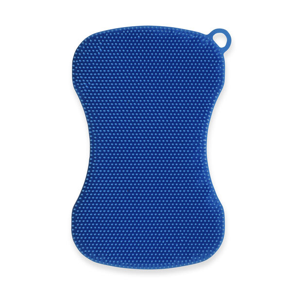  blue sponge