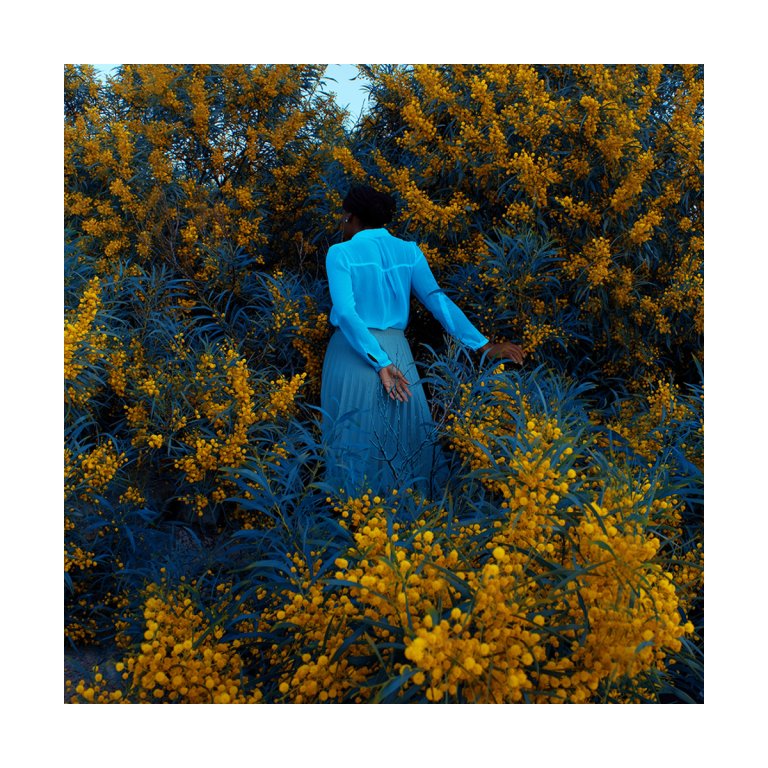  Best Wall Art Option: 20x200