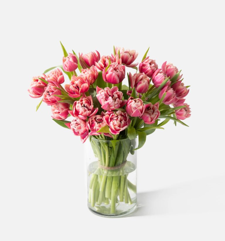  DoubleParasol_MainImage_PDP