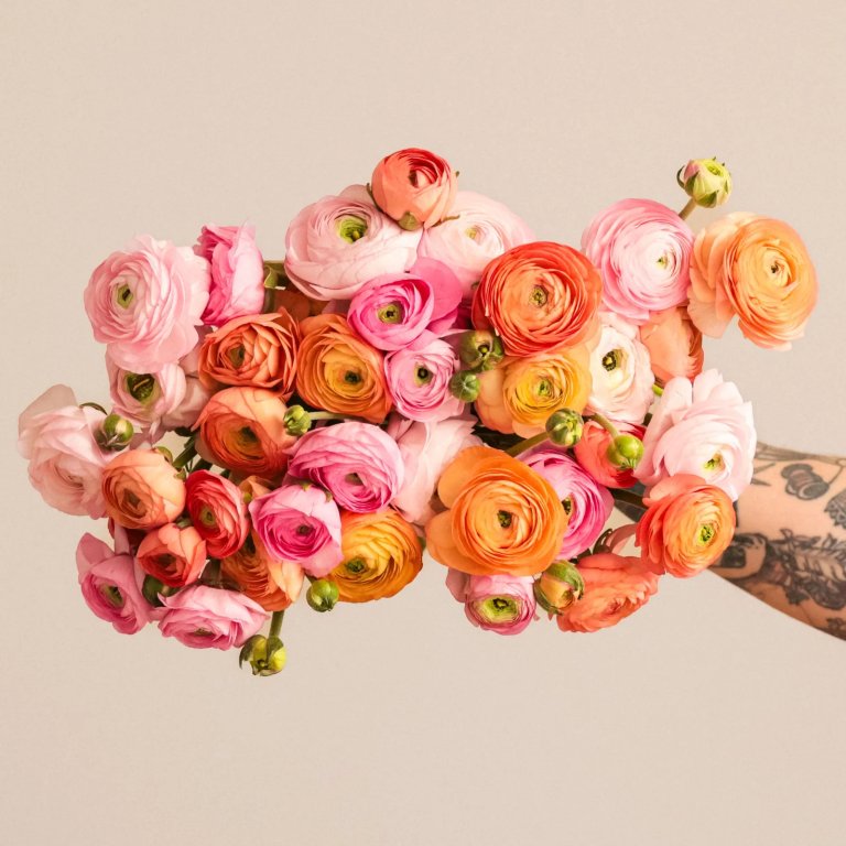  ranunculus bouquet