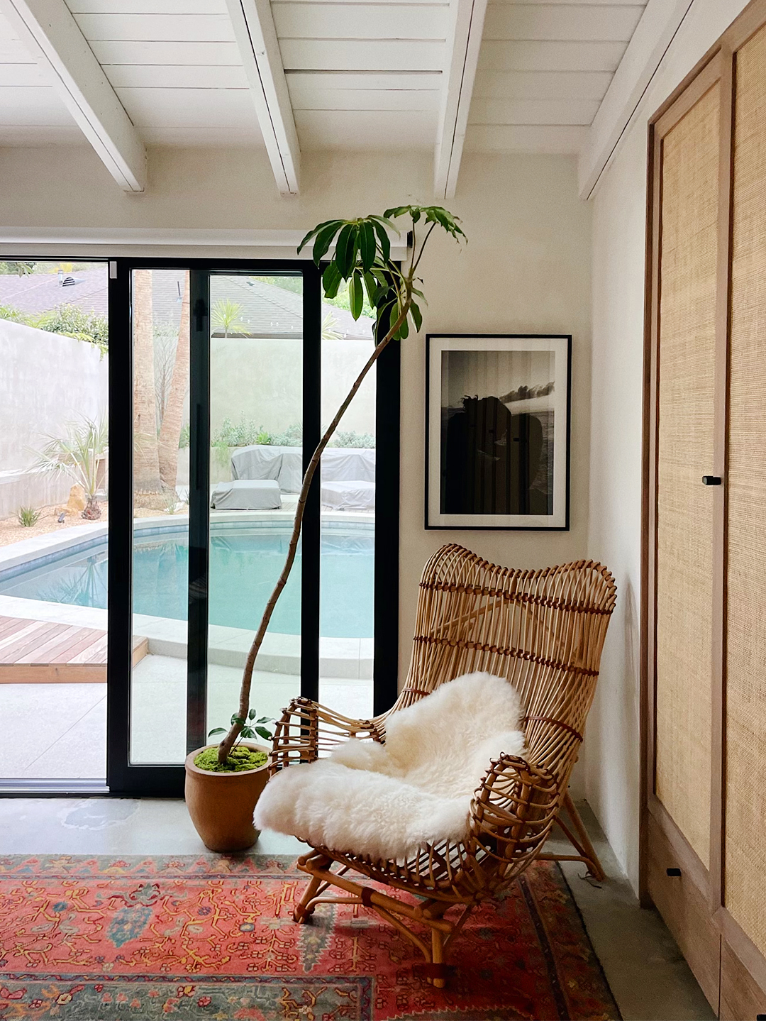 The 3 Houseplants You're About to See Everywhere This Spring, image size:1080x1439