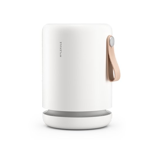  Silo of Molekule Air Mini