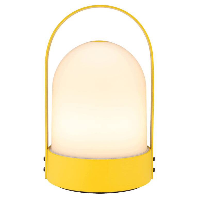  Yellow Amazon Lantern.