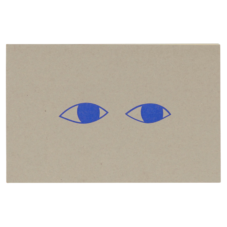  blue eyes on gray book