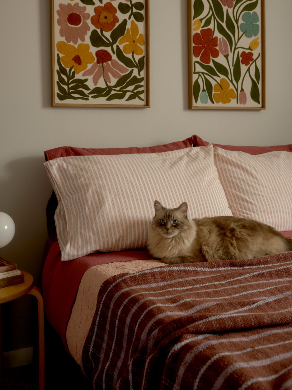 Cozy-Earth-Pillow-Review-Domino-43