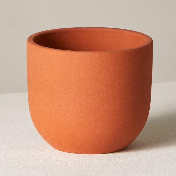  The Sill terracotta planter
