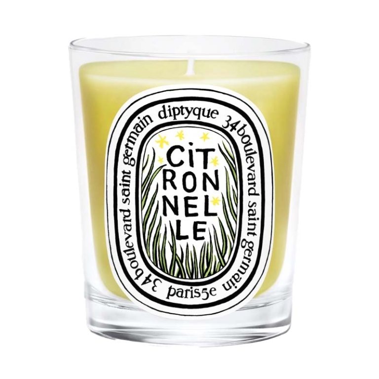  Diptyque citronelle candle