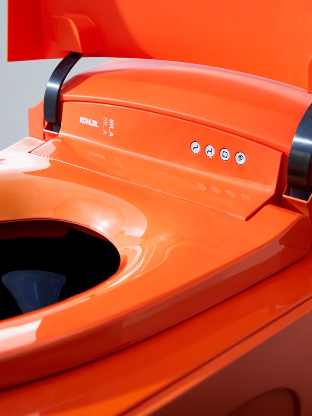 Kohler Is Bringing Back This Shocking Vintage Toilet Color | domino