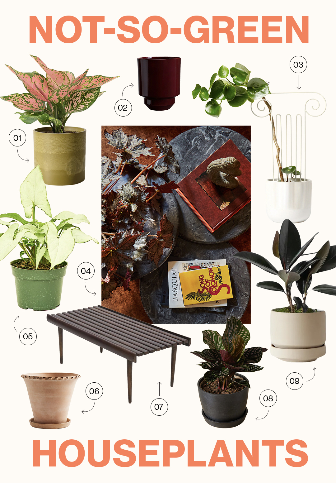 The Houseplant Styling Tip I Had Never Considered Before | domino