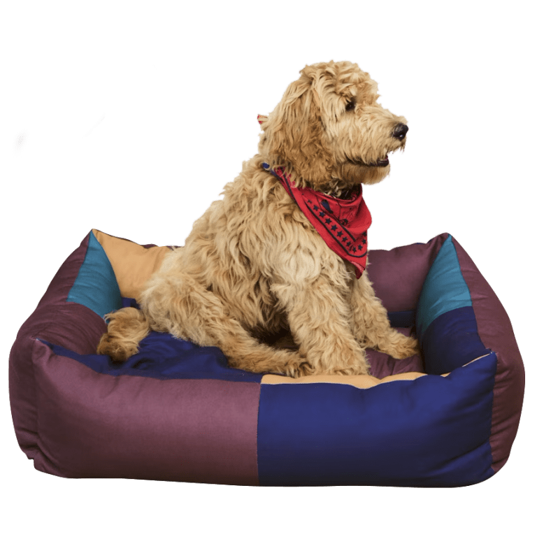  colorblocked dog bed
