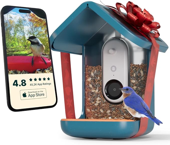  blue bird feeder