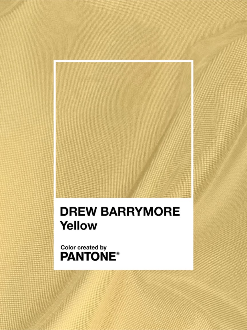 Drew Barrymore Now Has Her Own Pantone Color