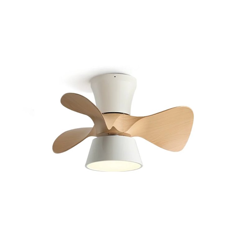  small ceiling fan