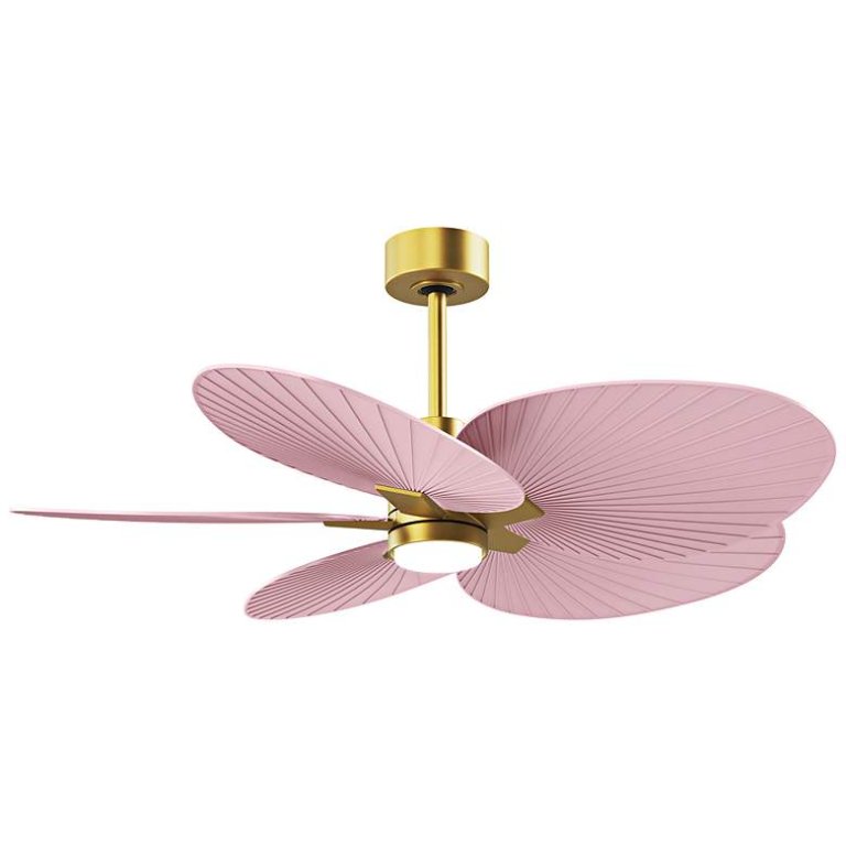  pink fan