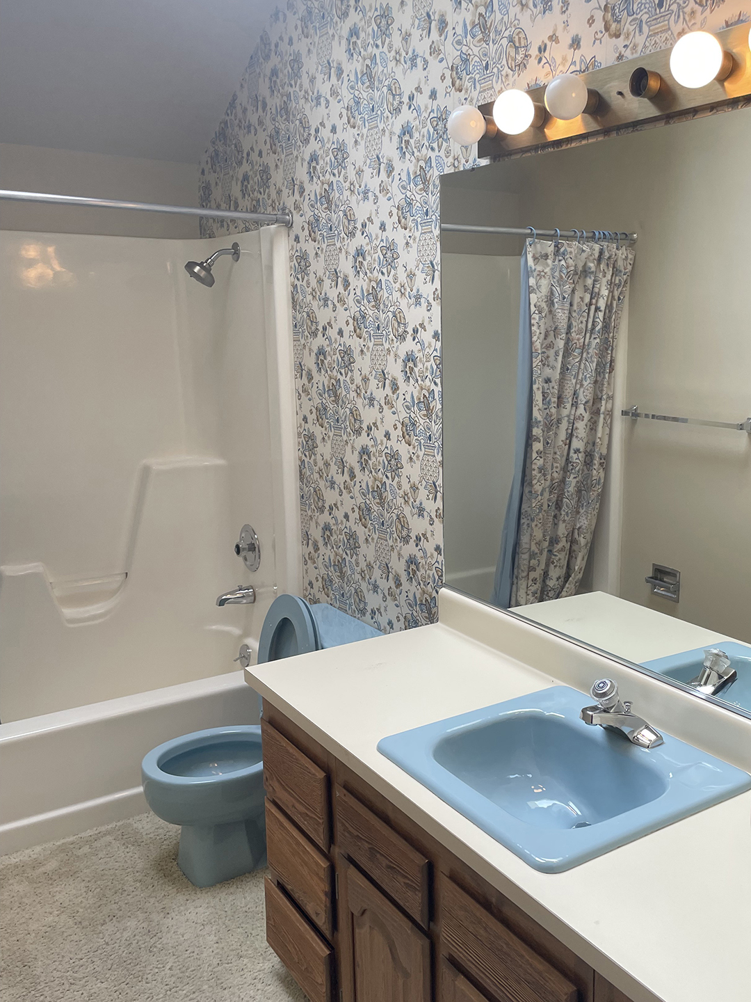 Carpeted bathroom with blue toilet and sink