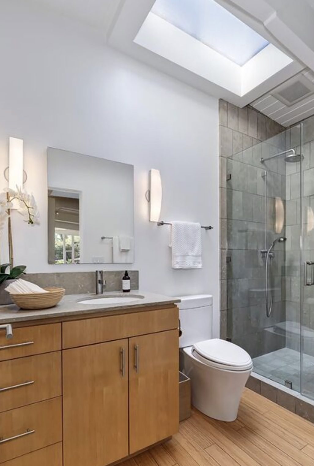 bathroom with skylihgt