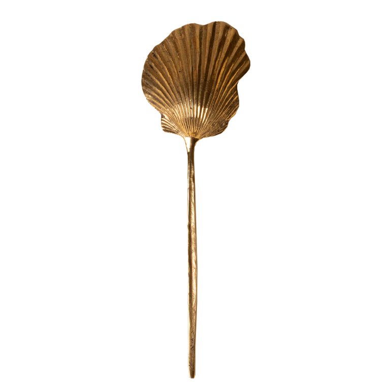  gold shell spoon