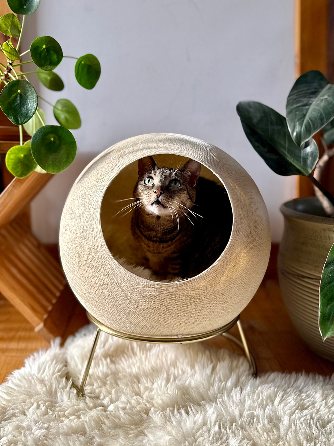 00-FEATURE-tuft-paw-stellar-cat-bed-domino